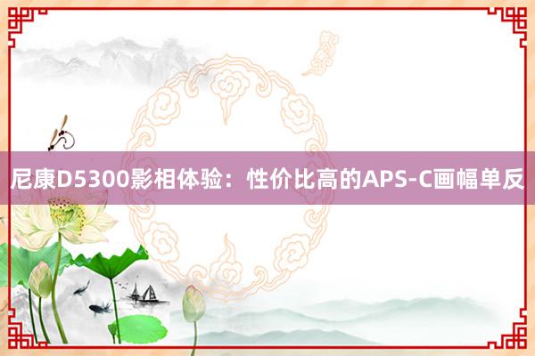 尼康D5300影相体验：性价比高的APS-C画幅单反